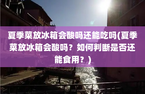 夏季菜放冰箱会酸吗还能吃吗(夏季菜放冰箱会酸吗？如何判断是否还能食用？)