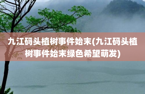 九江码头植树事件始末(九江码头植树事件始末绿色希望萌发)