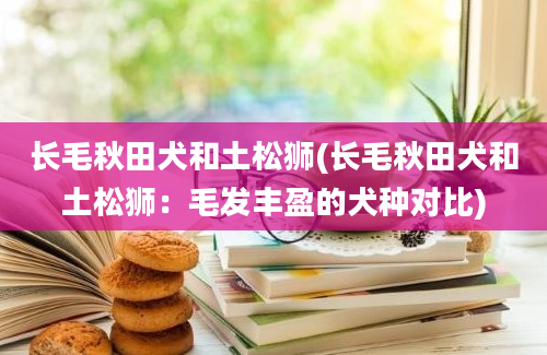 长毛秋田犬和土松狮(长毛秋田犬和土松狮：毛发丰盈的犬种对比)