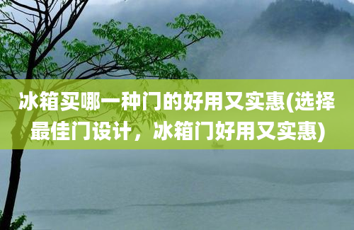 冰箱买哪一种门的好用又实惠(选择最佳门设计，冰箱门好用又实惠)