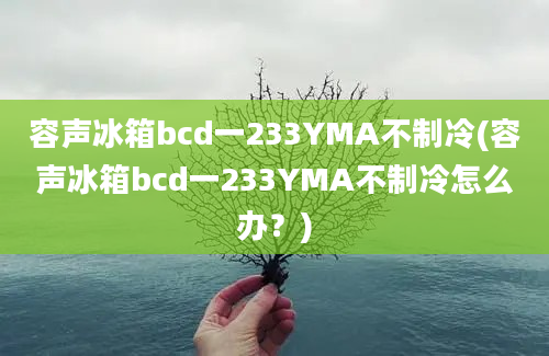 容声冰箱bcd一233YMA不制冷(容声冰箱bcd一233YMA不制冷怎么办？)