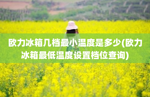 欧力冰箱几档最小温度是多少(欧力冰箱最低温度设置档位查询)