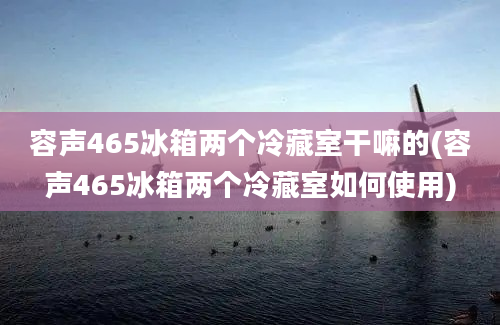 容声465冰箱两个冷藏室干嘛的(容声465冰箱两个冷藏室如何使用)