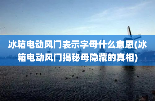 冰箱电动风门表示字母什么意思(冰箱电动风门揭秘母隐藏的真相)