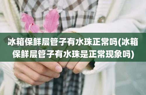 冰箱保鲜层管子有水珠正常吗(冰箱保鲜层管子有水珠是正常现象吗)