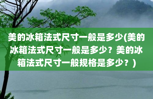 美的冰箱法式尺寸一般是多少(美的冰箱法式尺寸一般是多少？美的冰箱法式尺寸一般规格是多少？)