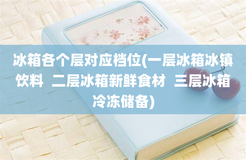 冰箱各个层对应档位(一层冰箱冰镇饮料  二层冰箱新鲜食材  三层冰箱冷冻储备)