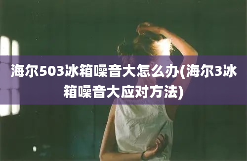 海尔503冰箱噪音大怎么办(海尔3冰箱噪音大应对方法)