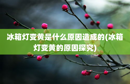 冰箱灯变黄是什么原因造成的(冰箱灯变黄的原因探究)