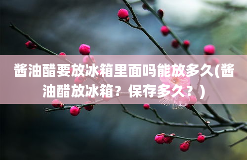 酱油醋要放冰箱里面吗能放多久(酱油醋放冰箱？保存多久？)