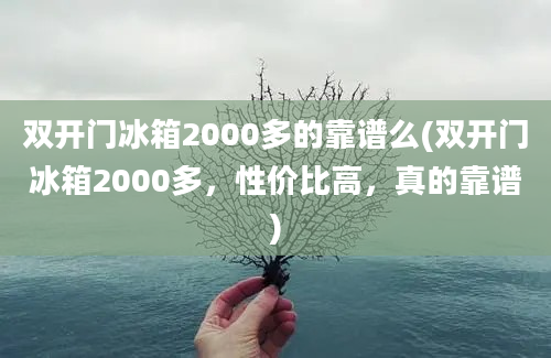 双开门冰箱2000多的靠谱么(双开门冰箱2000多，性价比高，真的靠谱)