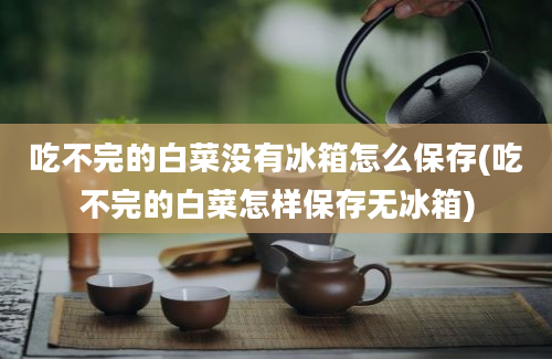 吃不完的白菜没有冰箱怎么保存(吃不完的白菜怎样保存无冰箱)