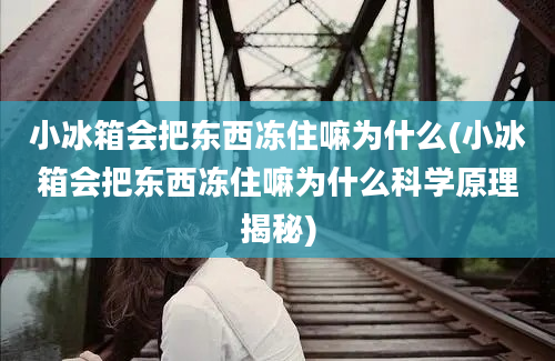 小冰箱会把东西冻住嘛为什么(小冰箱会把东西冻住嘛为什么科学原理揭秘)