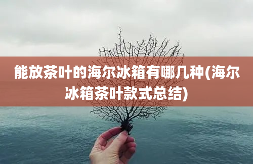 能放茶叶的海尔冰箱有哪几种(海尔冰箱茶叶款式总结)