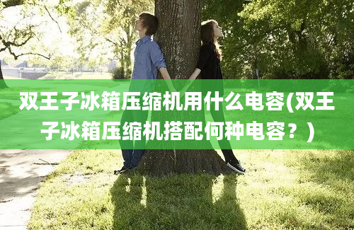 双王子冰箱压缩机用什么电容(双王子冰箱压缩机搭配何种电容？)