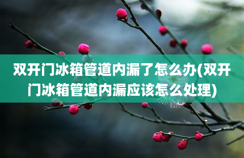 双开门冰箱管道内漏了怎么办(双开门冰箱管道内漏应该怎么处理)