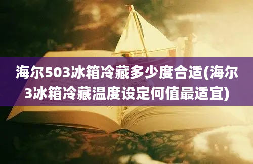 海尔503冰箱冷藏多少度合适(海尔3冰箱冷藏温度设定何值最适宜)