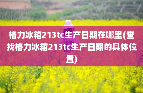 格力冰箱213tc生产日期在哪里(查找格力冰箱213tc生产日期的具体位置)