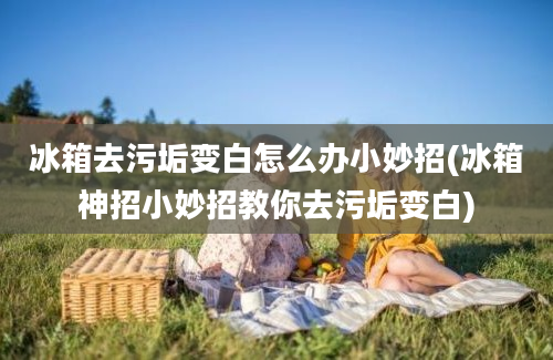 冰箱去污垢变白怎么办小妙招(冰箱神招小妙招教你去污垢变白)