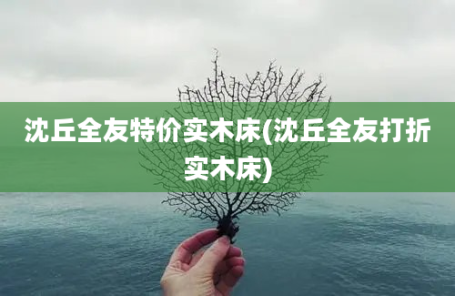 沈丘全友特价实木床(沈丘全友打折实木床)