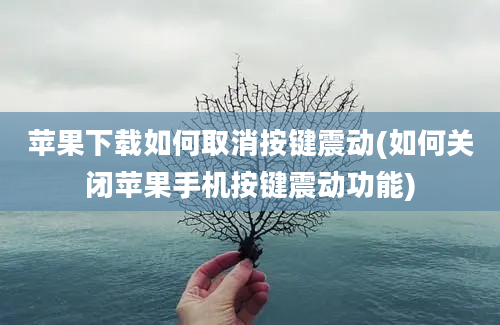 苹果下载如何取消按键震动(如何关闭苹果手机按键震动功能)