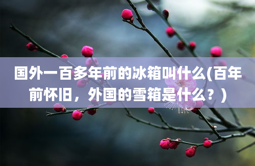 国外一百多年前的冰箱叫什么(百年前怀旧，外国的雪箱是什么？)