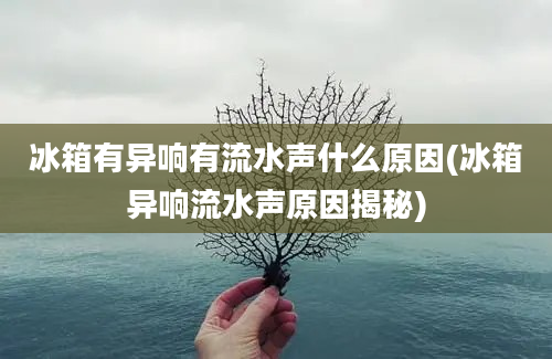 冰箱有异响有流水声什么原因(冰箱异响流水声原因揭秘)