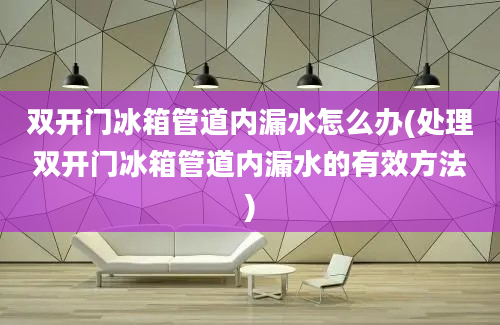 双开门冰箱管道内漏水怎么办(处理双开门冰箱管道内漏水的有效方法)