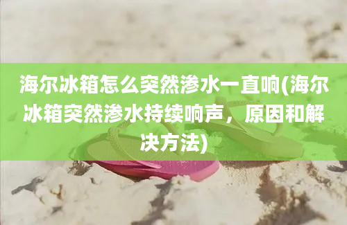 海尔冰箱怎么突然渗水一直响(海尔冰箱突然渗水持续响声，原因和解决方法)