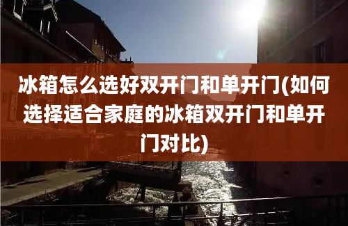 冰箱怎么选好双开门和单开门(如何选择适合家庭的冰箱双开门和单开门对比)