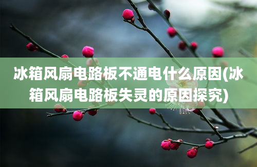 冰箱风扇电路板不通电什么原因(冰箱风扇电路板失灵的原因探究)