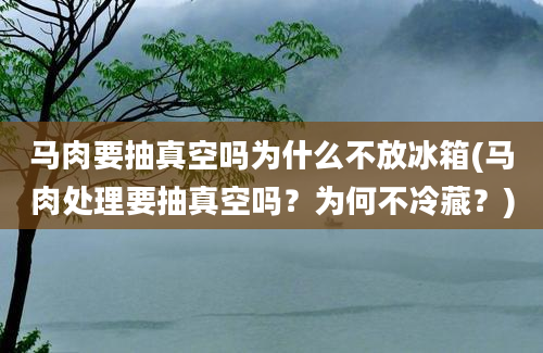 马肉要抽真空吗为什么不放冰箱(马肉处理要抽真空吗？为何不冷藏？)