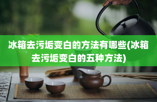 冰箱去污垢变白的方法有哪些(冰箱去污垢变白的五种方法)