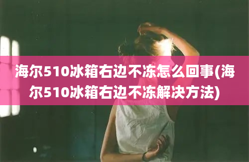 海尔510冰箱右边不冻怎么回事(海尔510冰箱右边不冻解决方法)