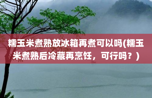 糯玉米煮熟放冰箱再煮可以吗(糯玉米煮熟后冷藏再烹饪，可行吗？)