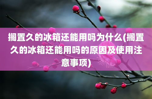 搁置久的冰箱还能用吗为什么(搁置久的冰箱还能用吗的原因及使用注意事项)