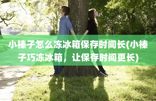 小榛子怎么冻冰箱保存时间长(小榛子巧冻冰箱，让保存时间更长)