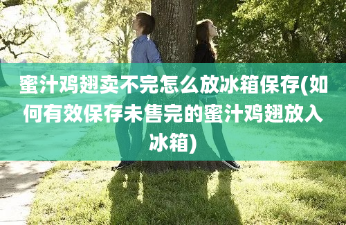 蜜汁鸡翅卖不完怎么放冰箱保存(如何有效保存未售完的蜜汁鸡翅放入冰箱)