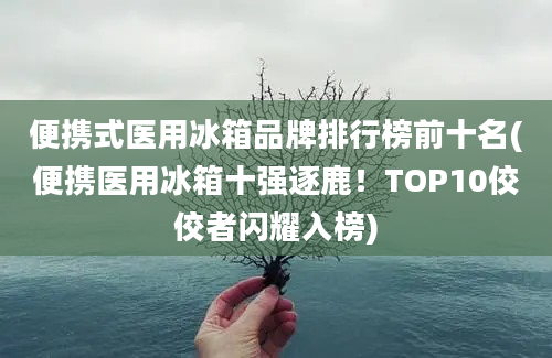 便携式医用冰箱品牌排行榜前十名(便携医用冰箱十强逐鹿！TOP10佼佼者闪耀入榜)