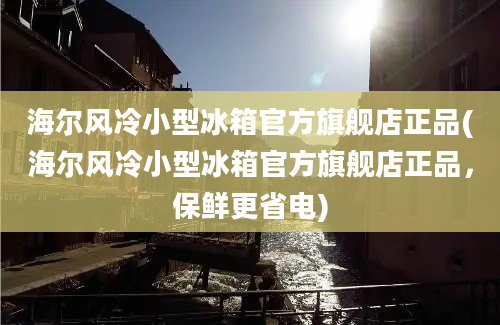 海尔风冷小型冰箱官方旗舰店正品(海尔风冷小型冰箱官方旗舰店正品，保鲜更省电)