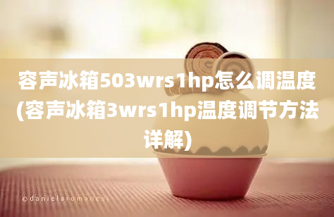 容声冰箱503wrs1hp怎么调温度(容声冰箱3wrs1hp温度调节方法详解)