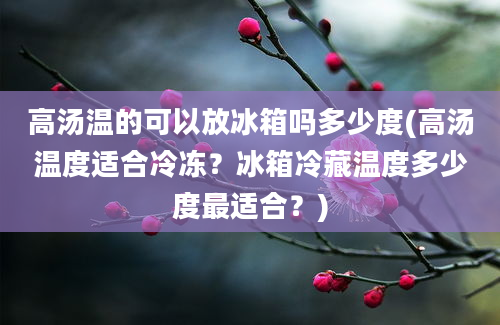 高汤温的可以放冰箱吗多少度(高汤温度适合冷冻？冰箱冷藏温度多少度最适合？)