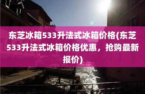 东芝冰箱533升法式冰箱价格(东芝533升法式冰箱价格优惠，抢购最新报价)