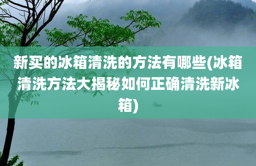 新买的冰箱清洗的方法有哪些(冰箱清洗方法大揭秘如何正确清洗新冰箱)