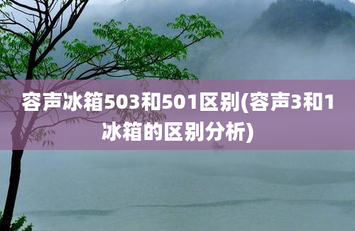 容声冰箱503和501区别(容声3和1冰箱的区别分析)