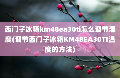 西门子冰箱km48ea30ti怎么调节温度(调节西门子冰箱KM48EA30TI温度的方法)