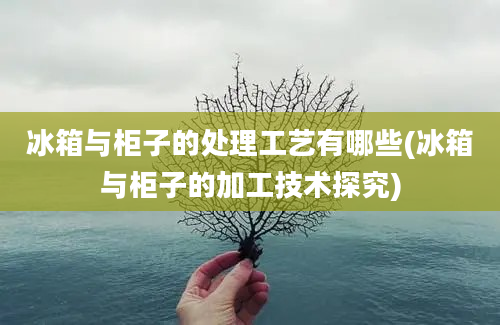 冰箱与柜子的处理工艺有哪些(冰箱与柜子的加工技术探究)