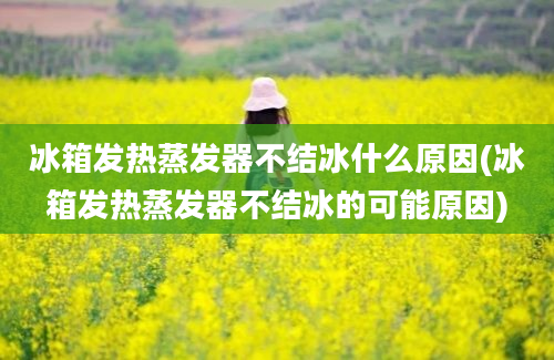 冰箱发热蒸发器不结冰什么原因(冰箱发热蒸发器不结冰的可能原因)