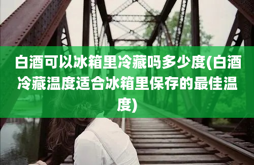 白酒可以冰箱里冷藏吗多少度(白酒冷藏温度适合冰箱里保存的最佳温度)