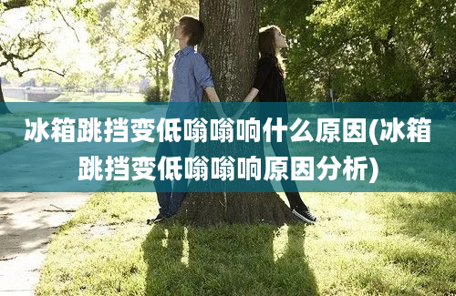 冰箱跳挡变低嗡嗡响什么原因(冰箱跳挡变低嗡嗡响原因分析)